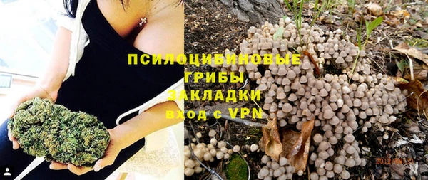 прущая мука Армянск