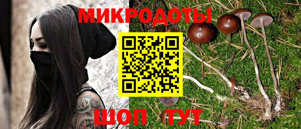 Псилоцибиновые грибы Cubensis Кимры