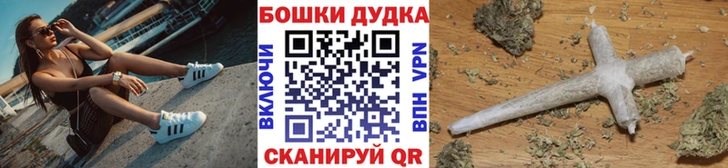 Канабис сатива  где найти   Кимры 